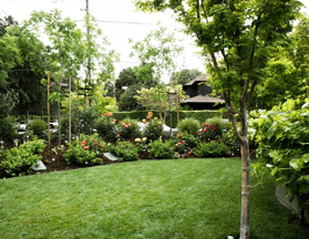 Приусадебные участки