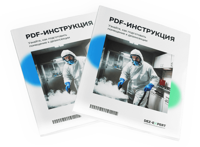 Подготовка к дезинсекции в Беларуси