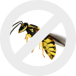 осы dez-expert.by