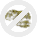 плесень dez-expert.by