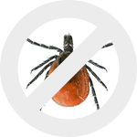 клещи dez-expert.by