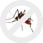 комары dez-expert.by