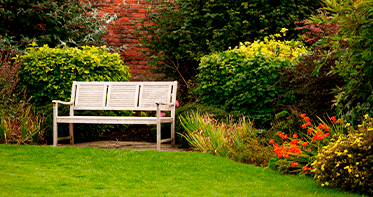 Приусадебный участок